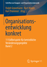 Organisationsentwicklung konkret - 11 Fallbeispiele für betriebliche Veränderungsprojekte Band 2